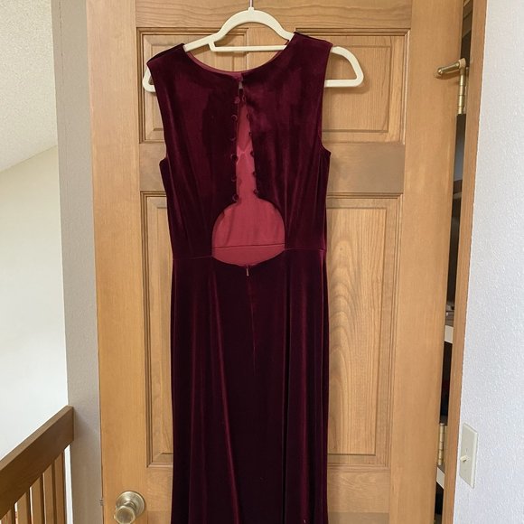 Revelry Cleo Velvet Dress - Picture 3 of 5